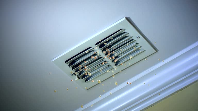 Best Home Air Vent Cleaning  in Marionville, MO