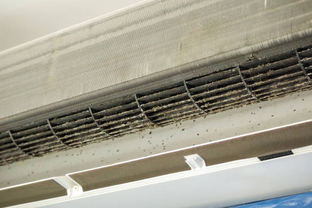 Best Commercial Air Duct Cleaning  in Marionville, MO